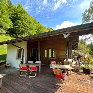 Zimmer Mit Zwei Einzelbetten Im Chalet Milital Appartement Innertkirchen Exterior photo