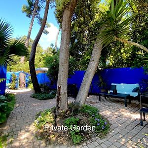 Studio With Beautiful Private Garden On The Forest In Domino Appartement Les Sables Vignier Exterior photo