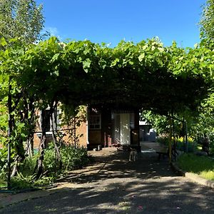 Заміський Будинок Villa Rzhyshchiv Exterior photo