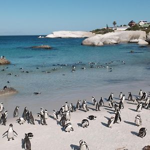 Penguin Haven . Luxury 2 bedroom, Boulders Beach. Kaapstad Exterior photo