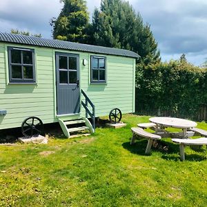 Shepherd'S Hut In Nature Appartement Newtown Mount Kennedy Exterior photo