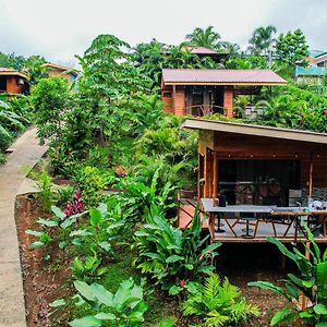 Bungalows Las Iguanas Arenal Volcano La Fortuna Exterior photo