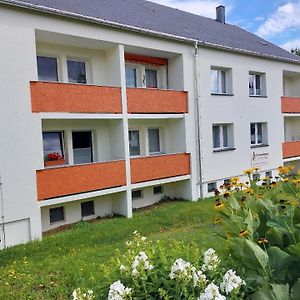 Ferienwohnung In Weitersglashuette Mit Grill Und Garten Eibenstock Exterior photo