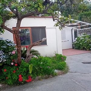 La Dracena Villa Ischia Exterior photo