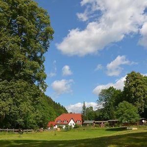 Zur Sommerfrische Lothramuehle Hotel Drognitz Exterior photo