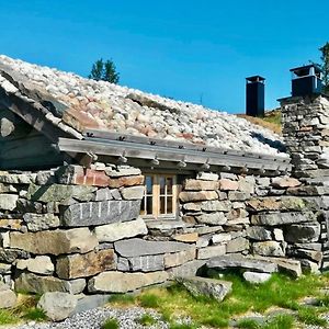 Rustic Mountain Cabin With Modern Interior Villa Flå Exterior photo