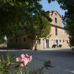 Maison022 Hotel Jesi Exterior photo