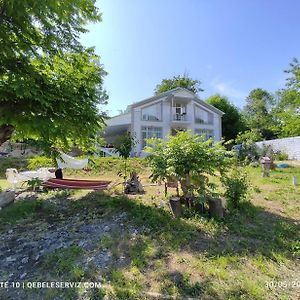 Peaceful Riverbank Villa Svda Gabala Exterior photo