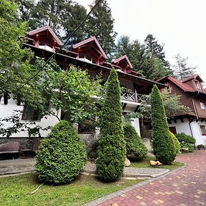 Вілла Лісова Комфорт Appartement Skhidnytsia Exterior photo