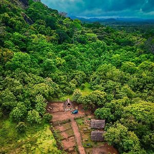 The Forest Edge Resort Dambulla Exterior photo