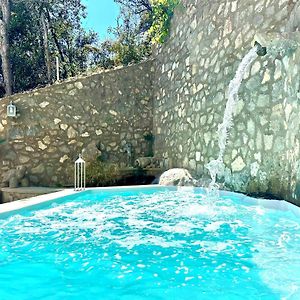 Evelyns Pool Garden Appartement Ischia Exterior photo