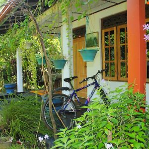 Nature Night Homestay Sigiriya Exterior photo