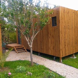 La Cabane Du Figuier A Rambouillet Exterior photo