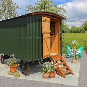 Apple Blossom Hut Villa Hornblotton Exterior photo