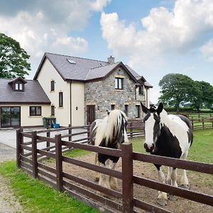 Groes Faen Bach Villa Caerwys Exterior photo