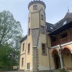 Burg Aue- Ferienwohnungen Erzglueck - Familien - Im Gruenen - Zentral Aue  Exterior photo