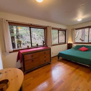 Little House In The Redwoods Appartement Garberville Exterior photo