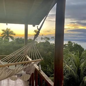 Mizaru Ocean View Hotel Manuel Antonio Quepos Exterior photo