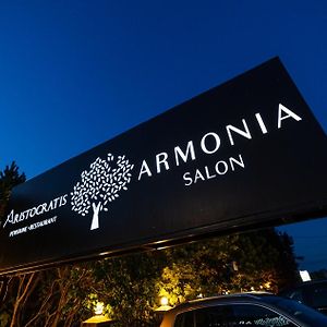 Armonia By Aristocratis Hotel Târgu Neamț Exterior photo