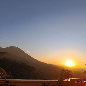 Dwan Tea Mountain Side Bed and Breakfast Jatiluwih Exterior photo