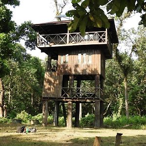 Typical Nepali Kitchen - No Pizza - No Pasta - No Problem !! Hotel Sauraha Exterior photo