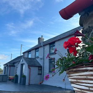 Cosy Countryside Cottage Aberystwyth Exterior photo