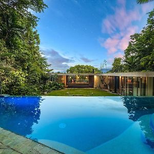 'Planchonella House' Award-Winning Rainforest Oasis Edge Hill Exterior photo