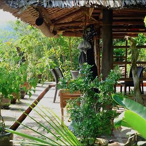 Balihuts Guesthouse Concepcion  Exterior photo