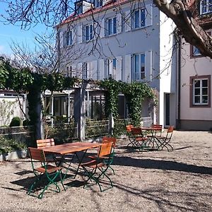 Hotel Am Main Veitshöchheim Exterior photo