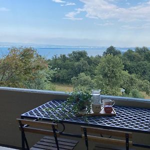 La Casa Di Trude, Bilocale Vista Lago Con Giardino Appartement Padenghe sul Garda Exterior photo