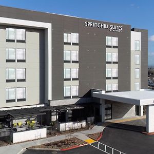 Springhill Suites By Marriott Pleasanton Exterior photo