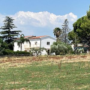 Masseria Novelli Bed and Breakfast Cassano allo Ionio Exterior photo