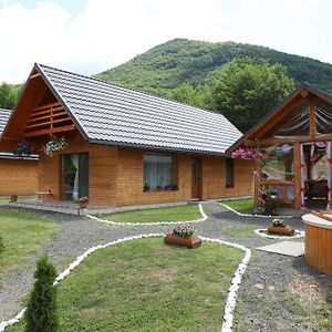 Izvorul Rece Maramures Villa Baia-Sprie Exterior photo