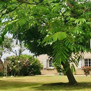 La Canoliere - Chambre D'Hote Noemie Bed and Breakfast Lafox Exterior photo