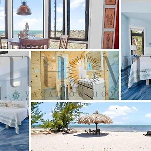 Ocean Depth Room Barnacle Bed And Breakfast Deers Suite Big Pine Key Exterior photo