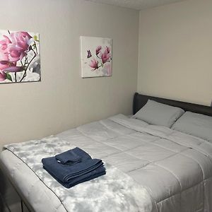 Cozy Quiet Room Free Wifi And Workspace North Lauderdale Exterior photo