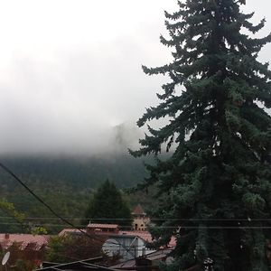 House Lia Hotel Bordzjomi Exterior photo