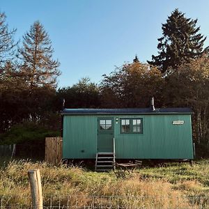 The Green Shepherd, A Charming Authentic Cabin Surrounded By Beautiful Countryside Villa Vielsalm Exterior photo