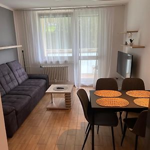 Apartman U Areny Nmnm Appartement Nove Mesto na Morave Exterior photo