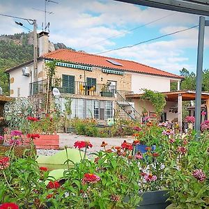 Zion Jardim Monsanto Bed and Breakfast Exterior photo