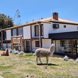 La Maison D'Urbina Hotel Chimborazo Exterior photo