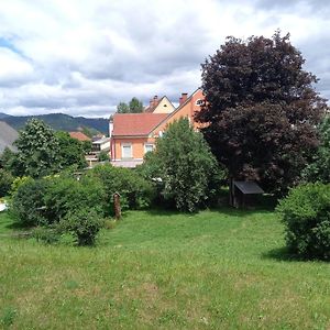 Ferienwohnung Murtal Sankt Lorenzen bei Knittelfeld Exterior photo