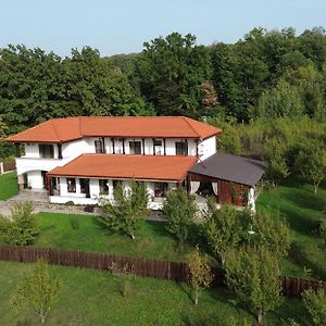 Pensiunea Emelys Hotel Iasi Exterior photo