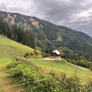 Hobisch Alm - Heroum Hut Bed and Breakfast Kleinreifling Exterior photo