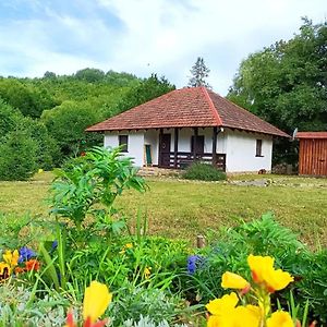 It-Hutorok Pension Tur'ya Paseka Exterior photo