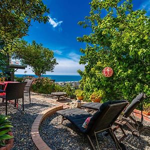 Secluded Oceanview Studio In La Jolla Appartement San Diego Exterior photo