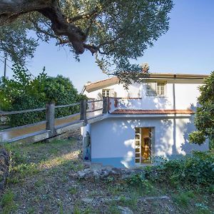 Nice Home In Rende With Kitchen Exterior photo