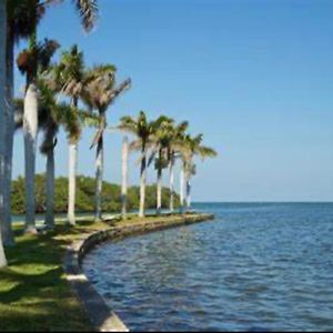 My Garden In Miami Florida Appartement Palmetto Bay Exterior photo