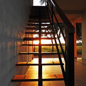 The Blue Sapphire Of Wilpattu Hotel Exterior photo