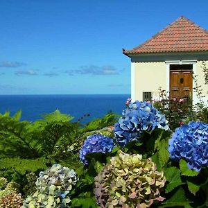 Quinta Das Hortensias Villa Arco de São Jorge Exterior photo